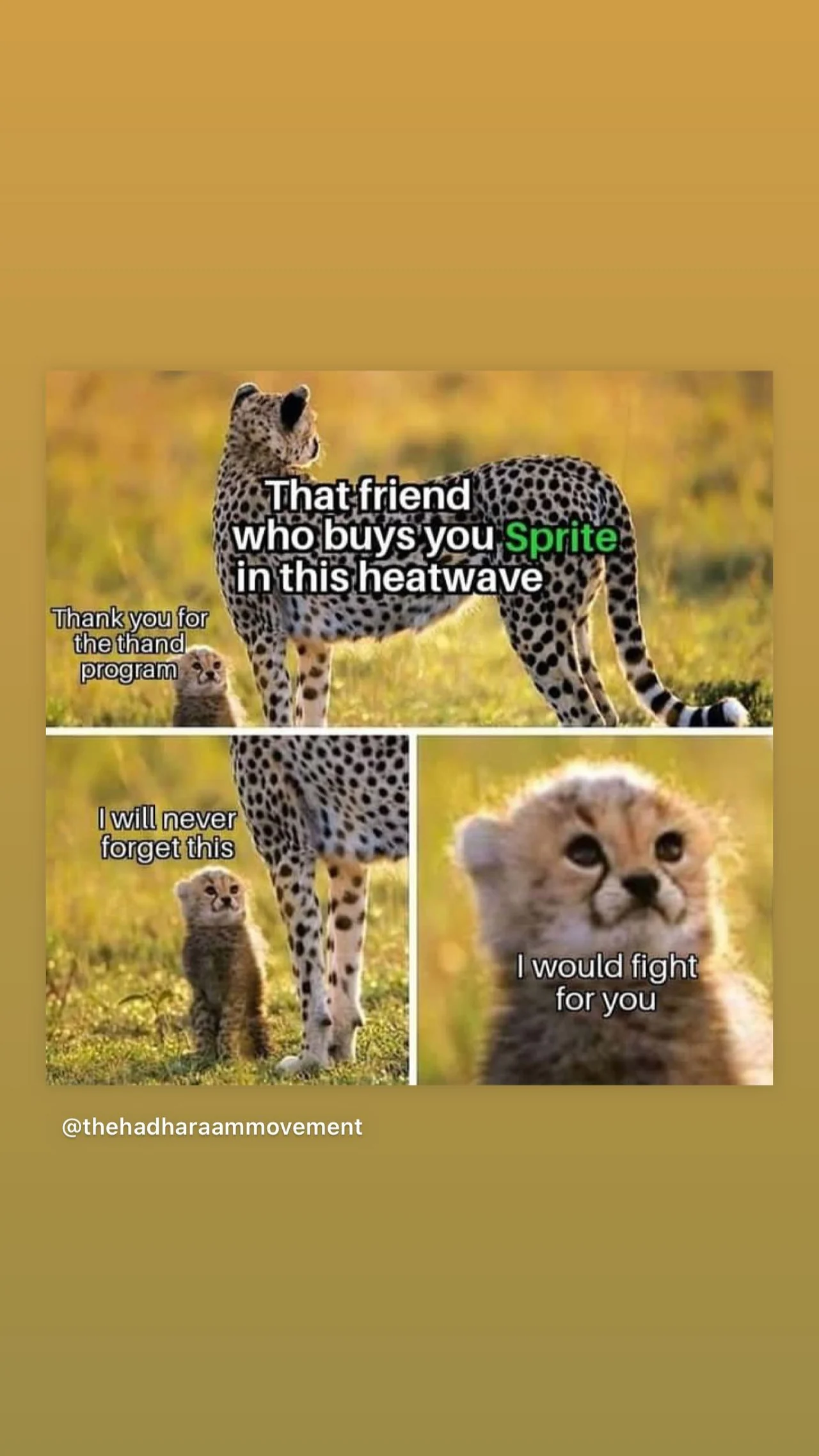 Sprite meme connecting a cold drink with an animal reaction